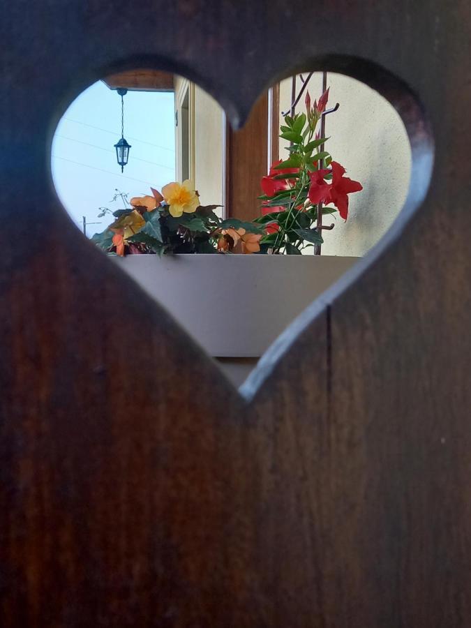 Villa Kuca Za Odmor Barbara Donja Stubica Esterno foto