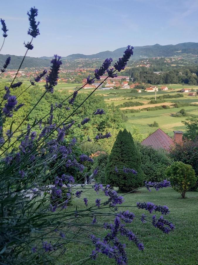 Villa Kuca Za Odmor Barbara Donja Stubica Esterno foto