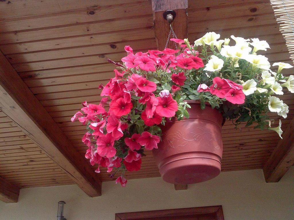Villa Kuca Za Odmor Barbara Donja Stubica Esterno foto