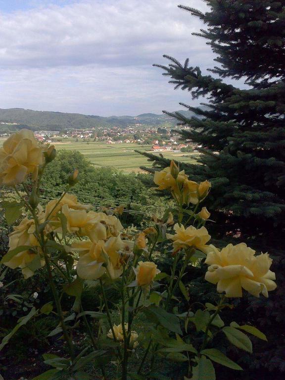 Villa Kuca Za Odmor Barbara Donja Stubica Esterno foto