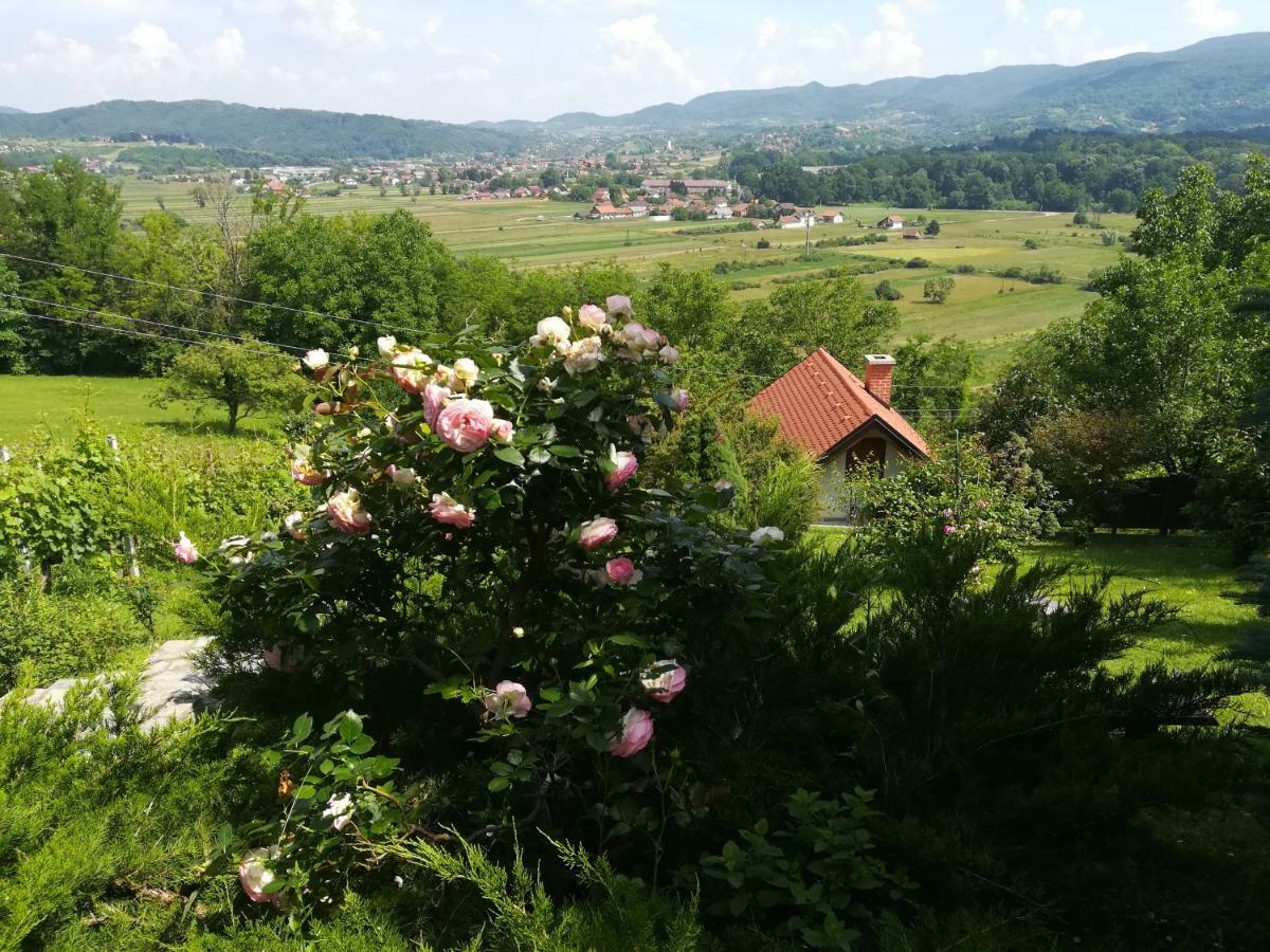Villa Kuca Za Odmor Barbara Donja Stubica Esterno foto